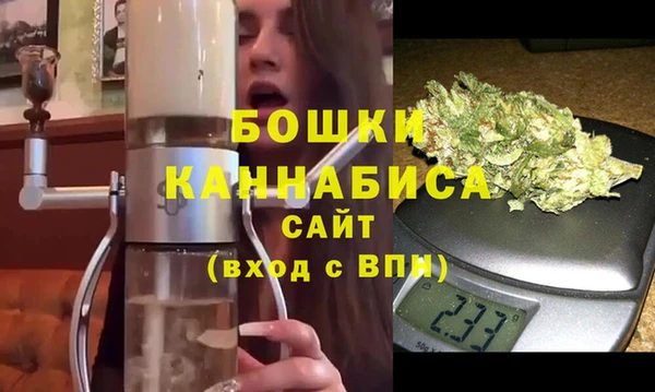 индика Балахна